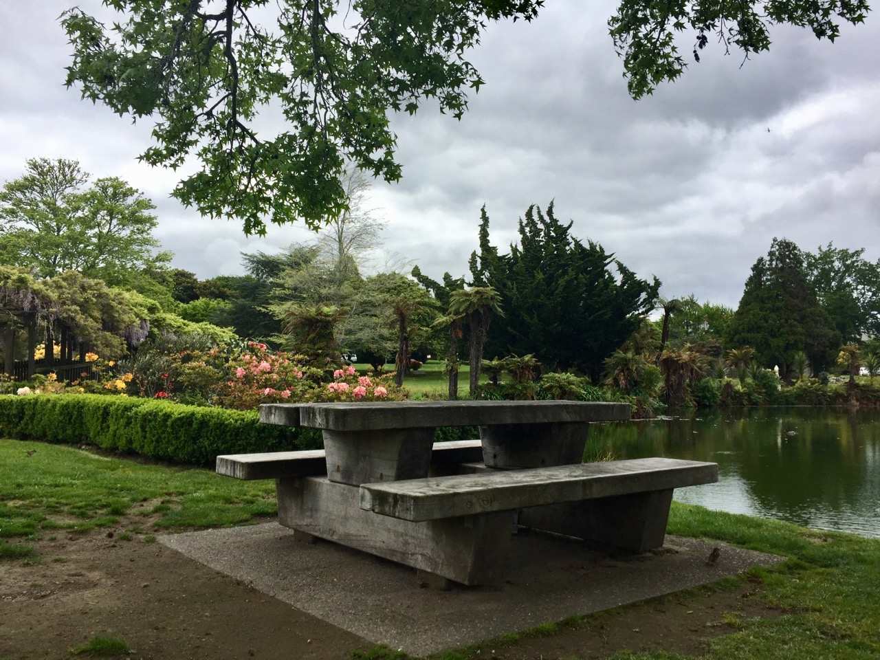Kuirau Park, Rotorua