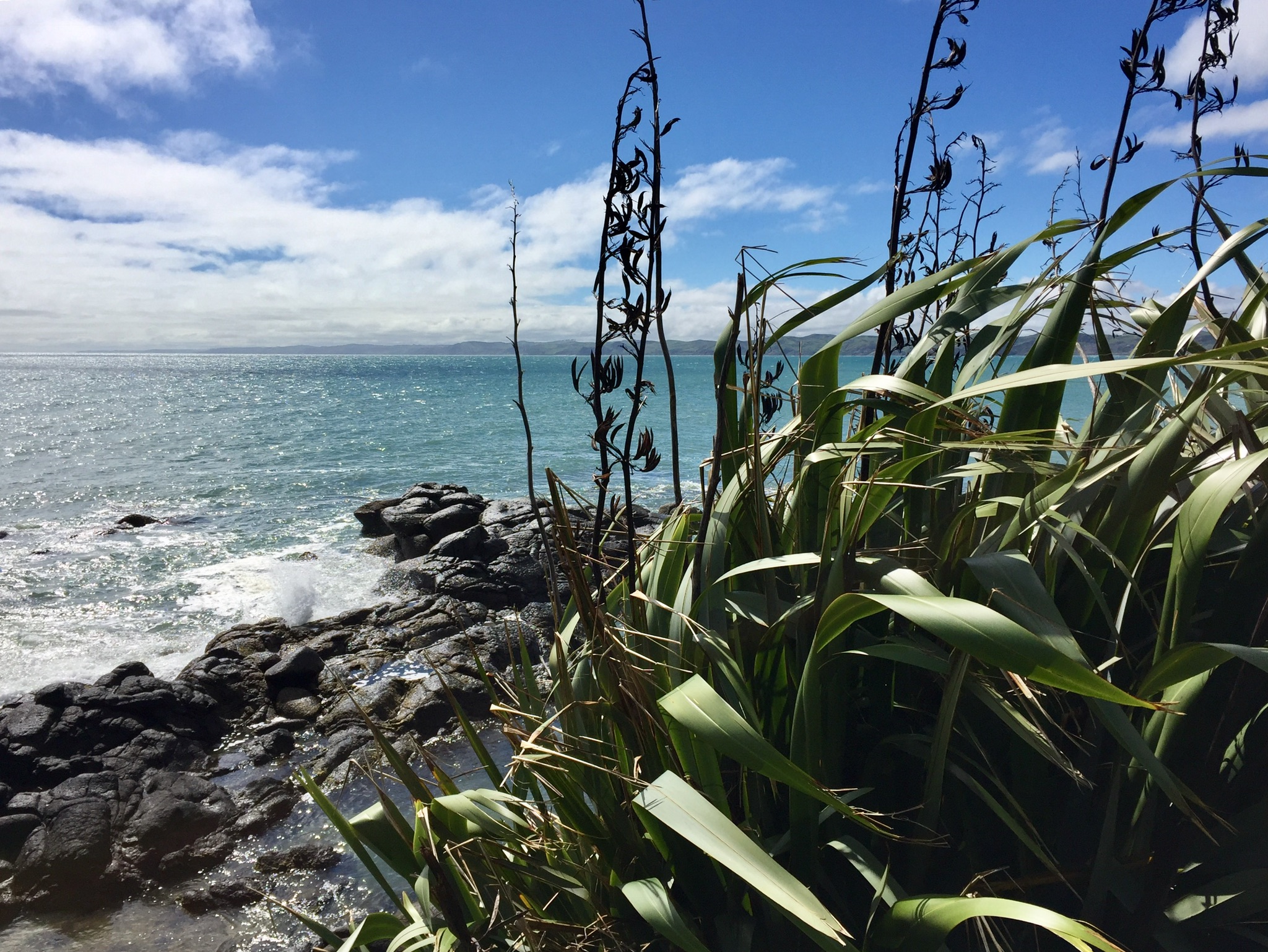 Raglan food trail