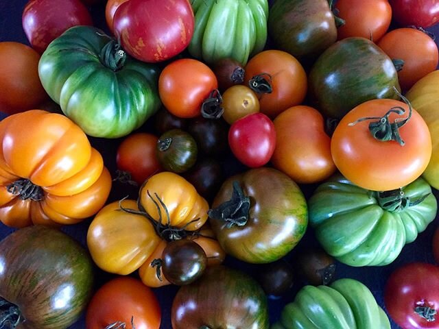 HELLO 2020 | Looking forward to the year ahead, out and about, mapping fresh and colourful New Zealand food treasures.  You’ll find all the fabulous food producers and eateries that we visit on our New Zealand food trail guide, to download use the link on our website #summertime #treasures #lovetoms