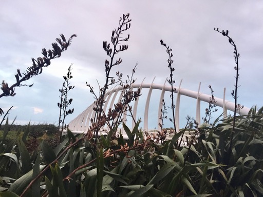 Te Rewa Rewa bridge